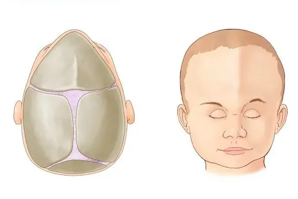 早孕一个月症状