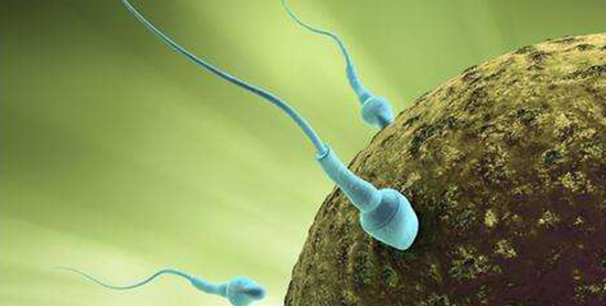 早孕分泌物褐色