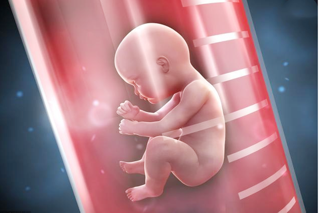 早孕三项数值低