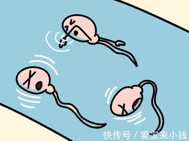 早孕三项数值低