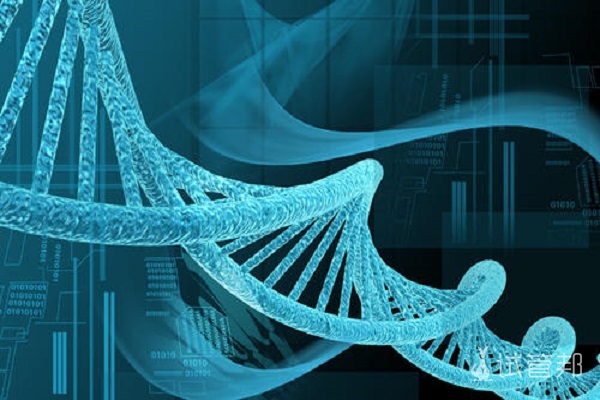 早孕三项正常值参考表怀孕