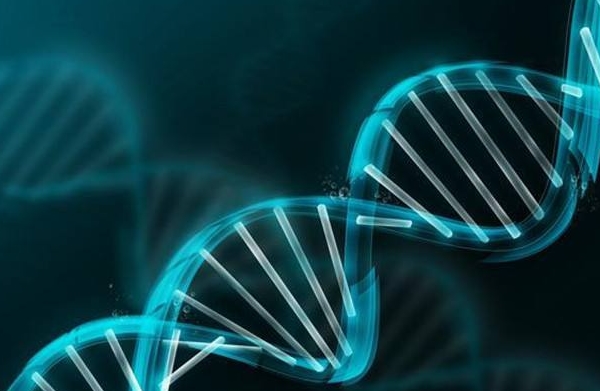 易孕期少量出血