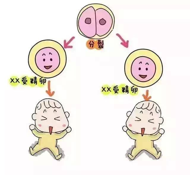 人流术后恢复期