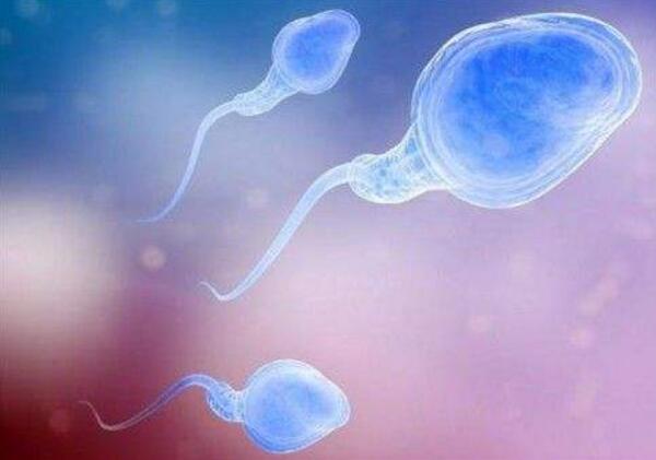 出生几斤决定福气