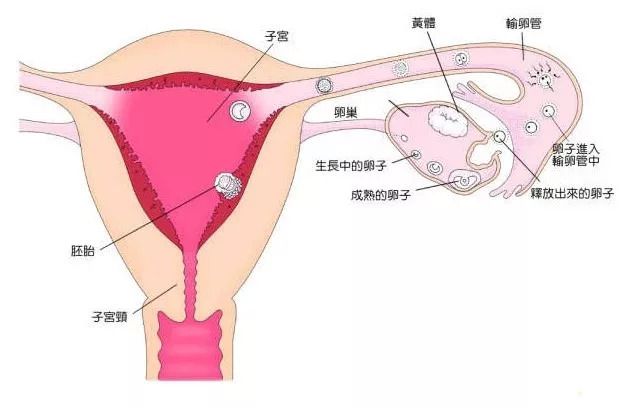 昆明男子不孕不育专科医院