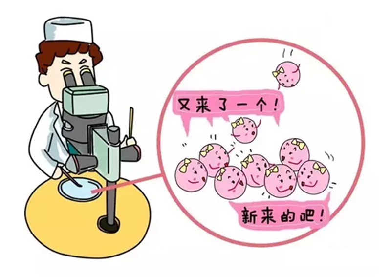 人流术后恢复期