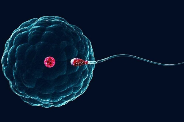 看是否怀孕挂什么科